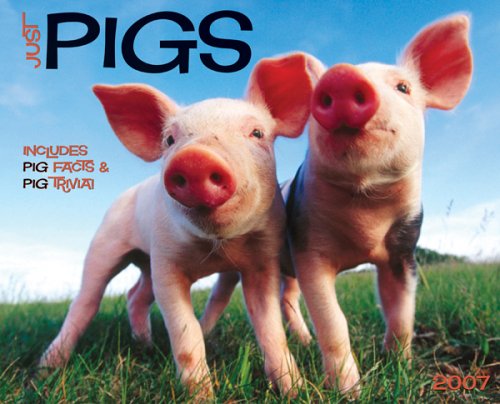 Pig
