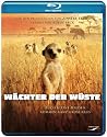 Wächter der Wüste [Blu-ray]