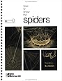 How to Know the Spiders (Pictured Key Nature)