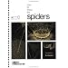 How to Know the Spiders (Pictured Key Nature Series)