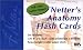Netter's Anatomy Flash Cards