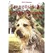 Franz�sische Sch�ferhunde Heute: Bauceron, Briard, Berger de Picardie und Berger de Pyrenees