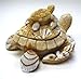 1 X Nautical Coastal Sea Turtle with Baby Sand Seashell Resin Trinket Box