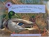 Mallard Duck at Meadow View Pond (Smithsonian's Backyard)