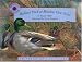 Books : Mallard Duck at Meadow View Pond (Smithsonian's Backyard) (Smithsonian's Backyard)