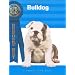 Bulldog (Kennel Club Books: Breeders Best)
