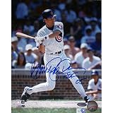 Steiner Sports MLB Chicago Cubs Ryne Sandberg Cubs Pinstripe Jersey Batting Vertical 8x10 Photograph with Hall of Fame Inscription