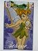 Kitchen & Housewares : Disney Fairies Rug
