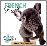 Favourite French Bulldog 2013 - Französische Bulldoggen - Original BrownTrout-Kalender - Myrna