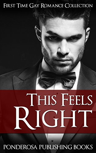 MM Romance: Gay Romance: This Feels Right (First Time  Romance Collection) (Gay Bisexual LGBT Short Stories)