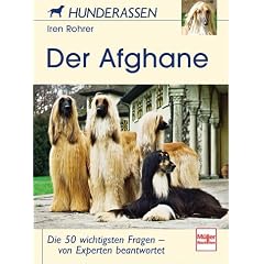 Der Afghane. Hunderassen.