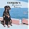 Children's Books About Rottweilers
