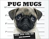 Pug Mugs Wall - 2008 Calendar