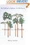 The Forest for the Trees: An Editor's Advice to Writers
