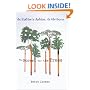 The Forest for the Trees: An Editor's Advice to Writers