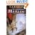 The Mirror of Merlin (The Lost Years of Merlin Book 4)