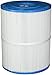 Replacement Filter Cartridge for Watkins Hot Spring, Hot Spot Series: Tempo/Rhythm/Relay Models Tiger River Spa 65 Sq Ft 31114 71827 By Spa and Sauna Parts
