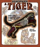 Uncover a Tiger (Uncover Books)