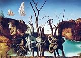 Salvador Dali - Art Print, Swans Reflecting Elephants 1937 (60x80cm Art Prints/Posters)