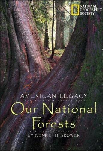 american legacy our national forests