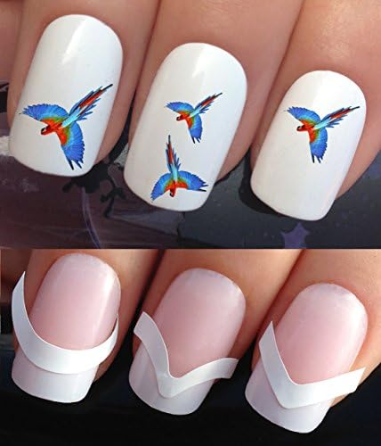 WATER NAIL DECALS TRANSFERS STICKERS TATTOO ART SET #353 &amp; 172. **plus x48 nail tip guides!!** x24 FLYING PARROT COLORFUL MACAW BIRDS TATTOO WRAPS &amp; x48 FRENCH MANICURE TIP GUIDES! CAN BE USED WITH NATURAL GEL ACRYLIC STICK ON NAILS! OR WITH GLITTER DUST CAVIAR BEADS ALLOYS DECORATIONS CONFETTI FIMO SHAPES TAPE PENS RHINESTONES!