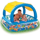 Intex Sun Shade Pool