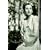 Letters From A Known Woman: Joan Fontaine