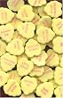 Yellow Fluted Wedding Hearts [10lb. Bulk Case]