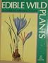 Edible Wild Plants: A Guide to Natural Foods