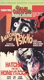 Anatomy of a Psycho/Hatchet For the Honeymoon