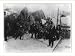 Historic Print (L): [African Americans selling Christmas trees and holly, Washington, D.C.]