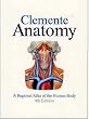 Anatomy: A Regional Atlas of the Human Body