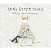 Little Lucy's Family: A Story of Adoption