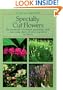 Specialty Cut Flowers: The Production of Annuals, Perennials, Bulbs and Woody Plants for Fresh and Dried Cut Flowers