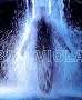 Bill Viola Bill Viola