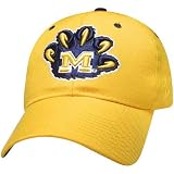 Zephyr Michigan Wolverines DHS Fitted Hat