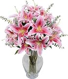 Deluxe Stargazer Lilies with Jordan Vase