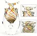 100% Handcraft Murano Glass Art Owl Rainbow