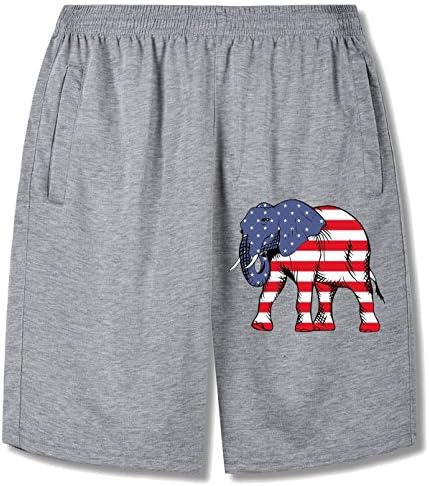 Imperfect world men's The elephant is very patriotic trousers gray