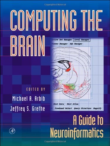computing the brain a guide to neuroinformatics