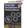 Molecular Mechanisms of Photosynthesis