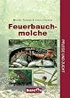 Feuerbauchmolche. Pflege und Zucht