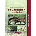 Feuerbauchmolche. Pflege und Zucht