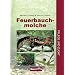 Feuerbauchmolche. Pflege und Zucht