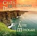 Celtic Meditation Music