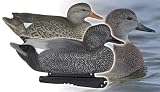 GHG Life Size Series Gadwall Duck Decoys
