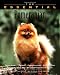 The Essential Pomeranian (Howell Book House's Essential)