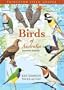 Birds of Australia: Seventh Edition (Princeton Field Guides)