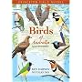 Birds of Australia: Seventh Edition (Princeton Field Guides)
