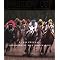 Essential reading for thoroughbred racing fans.